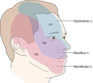 Trigeminal Neuralgia Treatment Doctors in Bangalore | Facial Pain ...