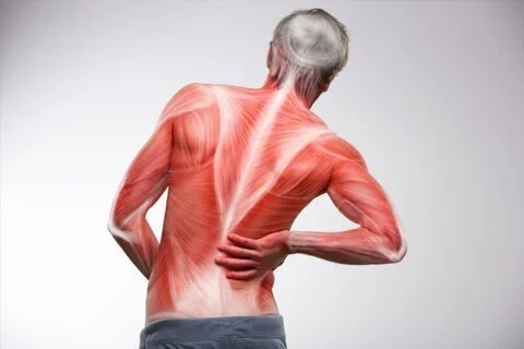 fibromyalgia 480X320 480x320 1